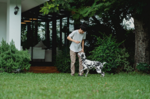 dog owner