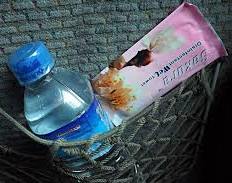 snack for traveling