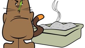 cat litter box